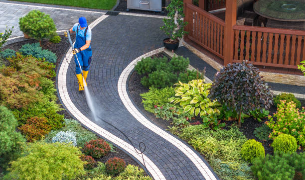 Best House Pressure Washing  in Nambe, NM